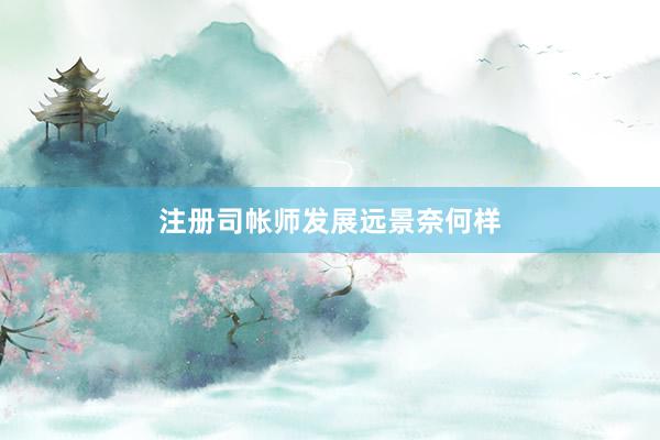 注册司帐师发展远景奈何样