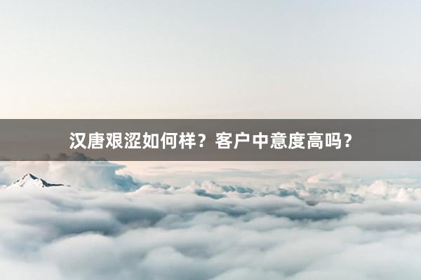 汉唐艰涩如何样？客户中意度高吗？